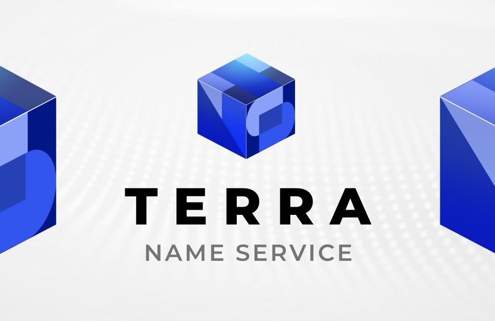 Terra Name Service (TNS) Coin là gì? Có nên đầu tư vào tiền điện ...