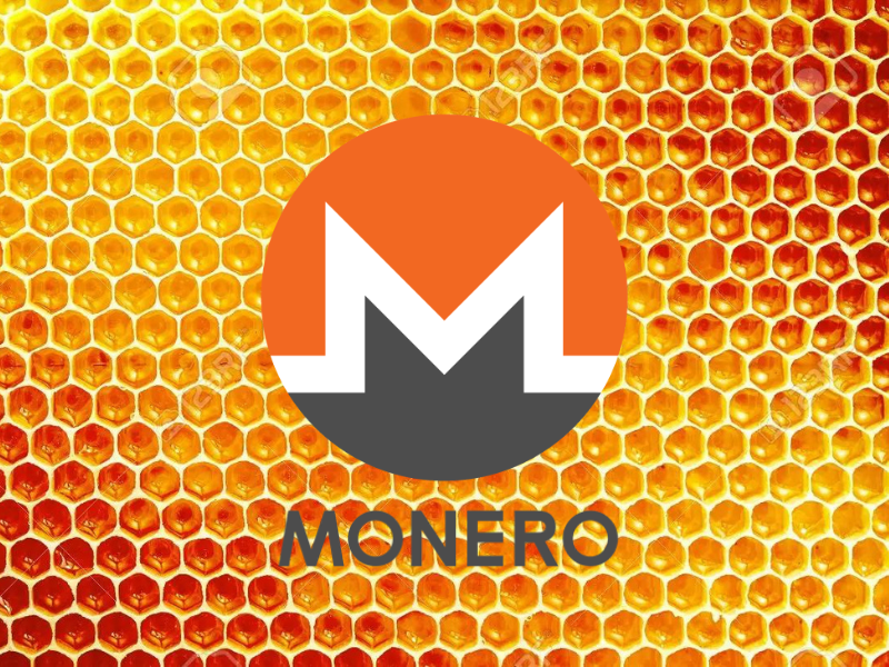 Đồng hành cùng sự phát triển của đồng tiền điện tử Monero XMR với những thông tin đầu tư hữu ích! Xem hình ảnh để hiểu rõ hơn về tiềm năng và cơ hội đầu tư của Monero XMR.