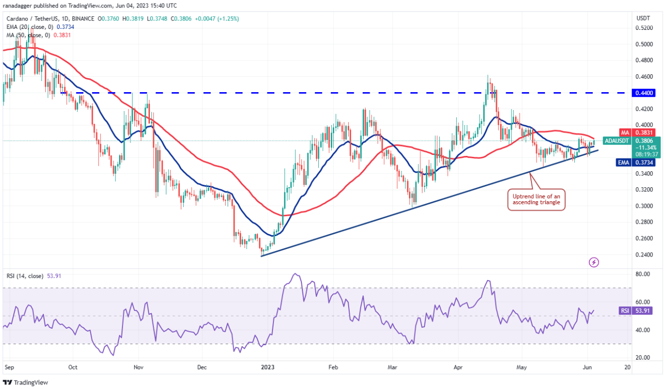 altcoin-tang