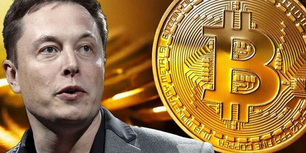 Elon Musk has highlighted huge problem with bitcoin price - WTX News