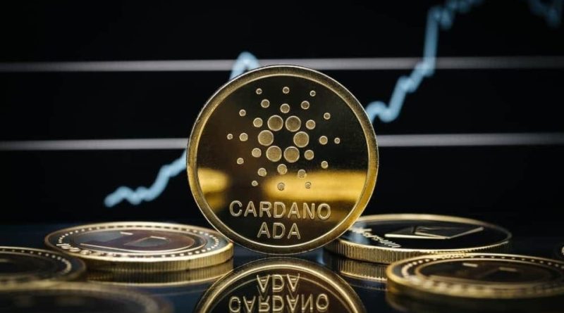 Cardano (ADA) Whales Increase Their Assets 40% In January - AMKNews