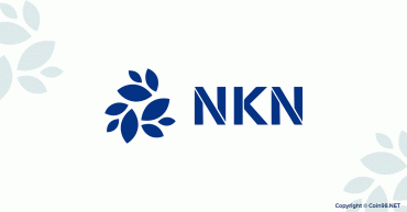 New Kind of Network (NKN) Coin là gì? Có nên đầu tư vào tiền điện tử NKN