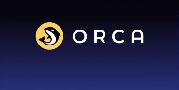 Orca (ORCA) coin là gì? Có nên đầu tư vào tiền điện tử ORCA