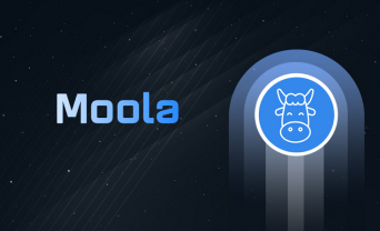 Moola Market (MOO) Coin là gì? Có nên đầu tư vào tiền điện tử MOO