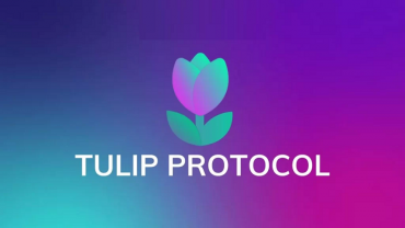 Tulip Protocol (TULIP) coin là gì? Có nên đầu tư vào tiền điện tử TULIP?