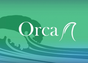 OrcaDAO (AVAI, ORCA) Coin) là gì? Có nên đầu tư vào tiền điện tử AVAI, ORCA