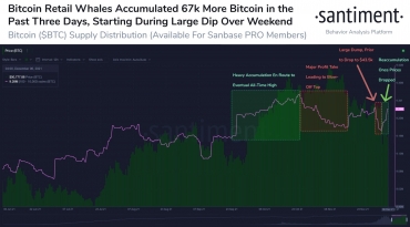 Bitcoin đang dần ổn định sau tuần rớt giá, Ethereum tăng trở lại