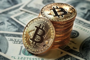 Bitcoin tụt dưới mức 49 nghìn đô, Altcoins ở mức báo động đỏ