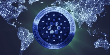 ADA giao dịch tăng chóng mặt thời gian qua lý do có thể là vì cá voi đã bắt đáy