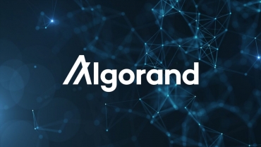 Algorand (ALGO) Coin là gì? Có nên đầu tư vào tiền điện tử ALGO