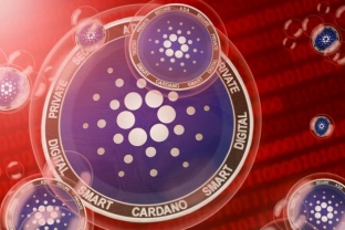 Giá ADA giảm mạnh, các nhà đầu tư nhỏ lẻ Cardano có nên làm gì lúc này?