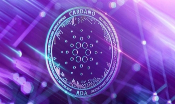 TVL của Cardano vượt qua Kusama trên các ứng dụng DeFi