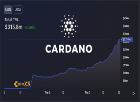 Cardano TVL đạt 300 triệu USD, riêng cái tên sau đây đóng góp tới 63,07%