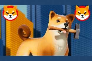 Shiba Inu ra mắt dự án Metaverse nhưng nhà đầu tư lại thờ ơ, lý do vì sao?