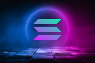 SOL mất giá 20% nhưng thị trường NFT và các chỉ số DApps vẫn gây chú ý