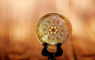 Số lượng ví ADA tăng 1600%, Cardano sẽ sớm trải qua những thay đổi đáng kể