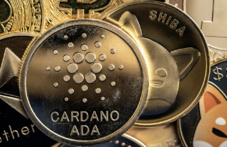 Hình thành xu hướng tích lũy, nhà đầu tư ADA và SHIB ôm coin tận 4 tháng