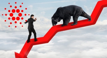 Cardano rơi xuống quanh mức 0,6 USD, Holder ADA có còn lạc quan?