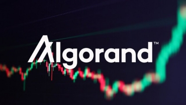 ALGO lộ diện xu hướng giá sắp tới, có nên tiếp tục bắt đáy?