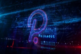 Polkadot đi vào mức hỗ trợ quan trọng, tín hiệu phục hồi hay nguy cơ?