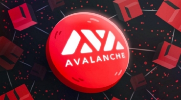 Avalanche (AVAX) Coin là gì? Có nên đầu tư vào tiền điện tử AVAX