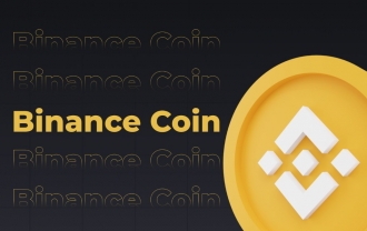 Binance Coin (BNB) Coin là gì? Có nên đầu tư vào tiền điện tử BNB