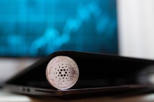 Vasil hard fork đang đến gần, Cardano trở lại đầy ngoạn mục