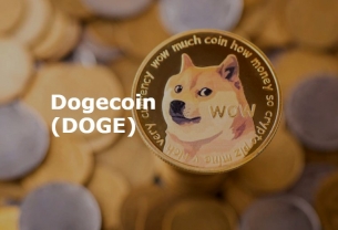 Dogecoin (DOGE) Coin là gì? Có nên đầu tư vào tiền điện tử DOGE