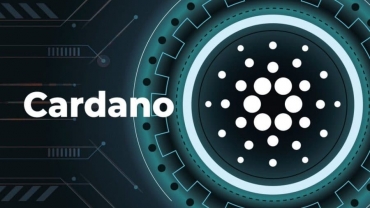 Đánh giá hiệu suất của Cardano trước thềm Vasil hard fork