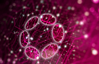 DOT rơi khỏi ngưỡng hỗ trợ, cá voi Polkadot có dấu hiệu hoạt động trở lại