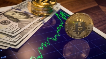 Giá Bitcoin hôm nay 14/10: Hồi lên gần mốc 20k, altcoin phủ xanh