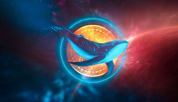 Dự báo các biến động crypto khi ví cá voi hoạt động mạnh trở lại