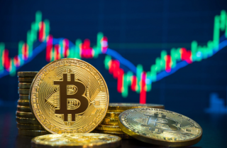 Giá Bitcoin hôm nay 15/11: Hồi nhẹ, thị trường phủ xanh