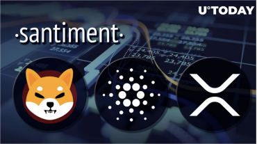 Top 7 Altcoin bị định giá thấp có thể tăng giá mạnh trong những tháng tới theo đánh giá của Santiment