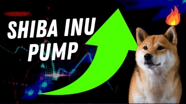 Finder dự báo giá Shiba Inu có thể trở lại hào quang như năm 2021