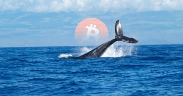 Arthur Hayes dự đoán tác động của vụ kiện giữa SEC với Binance, Coinbase đối với Bitcoin