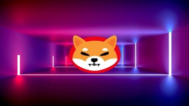 Cá voi Shiba Inu lớn nhất mua 1,5 nghìn tỷ token