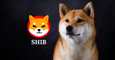 Shiba Inu mất top 20, giá giảm 17% sau 7 ngày