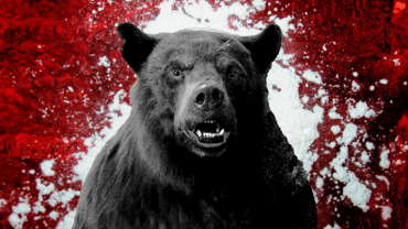 TOTAL3 có thể giảm thêm 20%, kích hoạt bán tháo trên nhiều altcoin