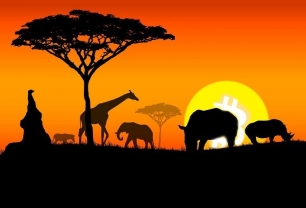 Thị trường tiền điện tử Châu Phi đã tăng 1.200% trong khoảng thời gian từ 2020 đến 2021